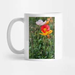 Poppies 2 Mug